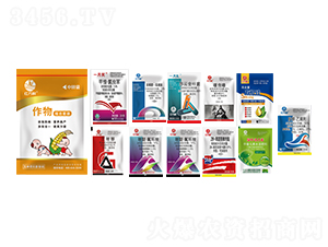 ���ױ���M�����b-�l�弾�L