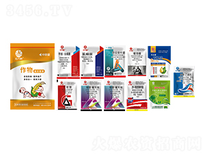 ���b���ױ����ײͣ�ʮ��һ��-�l�弾�L