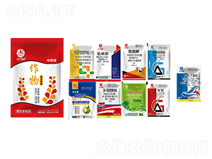 ���b��������ײͣ��˺�һ��-�l�弾�L