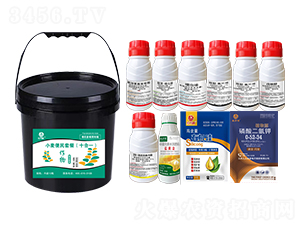 小麥便民套餐（十合一）-鄉村季風