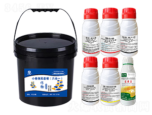 小麥便民套餐（六合一）-鄉村季風