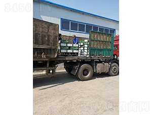 ��Ʒ����(4)