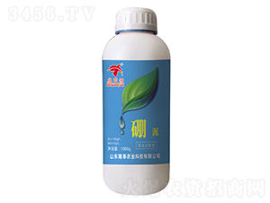 ����-¡̩�r�I