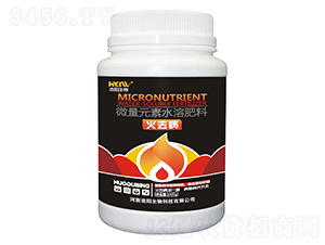 ��ȥ��-�������