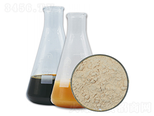 ��-PGA�۹Ȱ���-��������