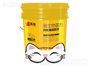 ΢�������-�_�պ���ԭ�{-��؈