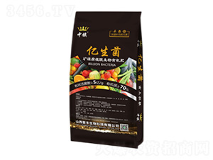 �VԴ��ֲ�������ЙC��-�|����-�x�S����