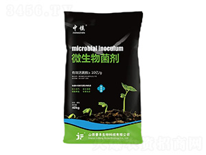 ΢�������-���-�x�S����