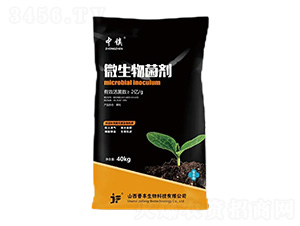 2�|��΢�������-���-�x�S����