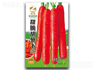 �����}���N��-�����r�I