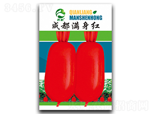 �ɶ��M���t�}���N��-�����r�I