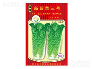 �ײ˷N��-�����x����̖-�����r�I