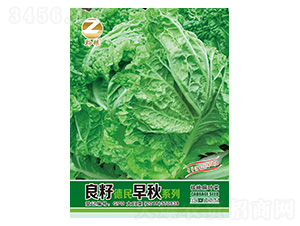 �ײ˷N��-���ѵ�������ϵ��-�����r�I