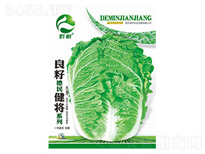 �ײ˷N��-���ѵ��񽡌�ϵ��-�����r�I