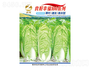 �ײ˷N��-�����Ҹ�100ϵ��-�����r�I