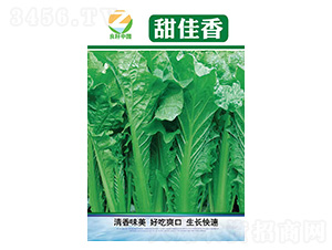 �ײ˷N��-�����-�����r�I