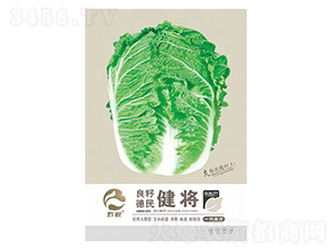 �ײ˷N��-����-�����r�I