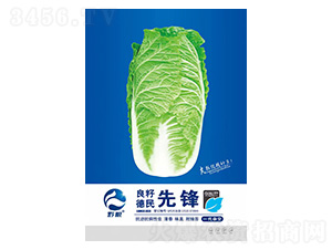 �ײ˷N��-���h-�����r�I