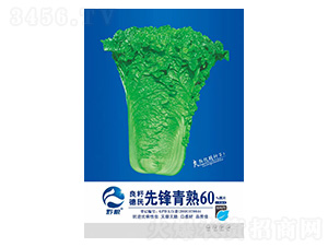 �ײ˷N��-���h����60-�����r�I