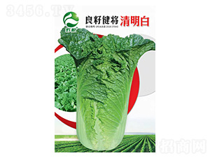 �ײ˷N��-���ѽ���������-�����r�I