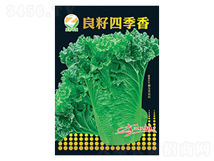 �ײ˷N��-�����ļ���-�����r�I