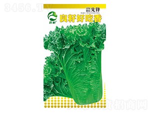 �ײ˷N��-���Ѻó���-�����r�I