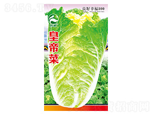 �ײ˷N��-�����r�I