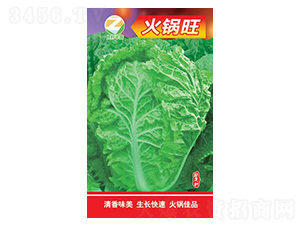 �ײ˷N��-�����-�����r�I