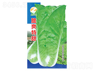 �ײ˷N��-��ˬ����-�����r�I