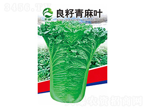 �ײ˷N��-���������~-�����r�I