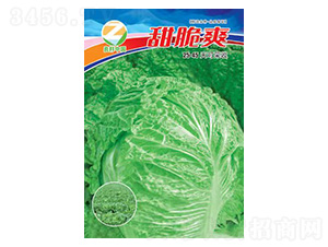 �ײ˷N��-���ˬ-�����r�I