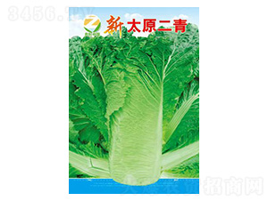 �ײ˷N��-��̫ԭ����-�����r�I