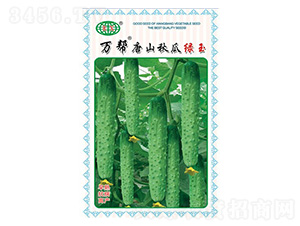 �f����ɽ��ϾG���S�ϷN��-�f��N�I