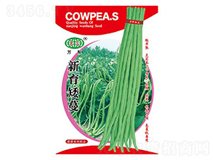 �������������N��-�f��N�I(y��)