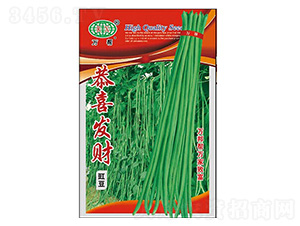 ��ϲ�lؔ�����N��-�f��N�I