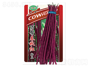 �f�ʹ���t�����N��-�f��N�I