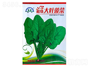 �������~����-���˷N��-���S�N��