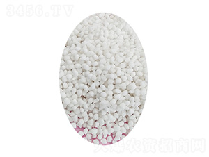 �����@�w��-�Є��dԴ