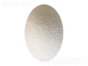 ���I�Ȼ��@�w��-�Є��dԴ