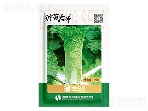 ���S88-��ײ˷N��-���S�N�I