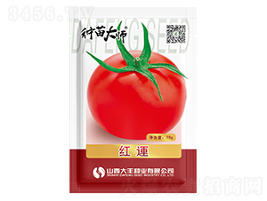 �t�\-���ѷN��-���S�N�I