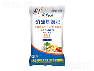 21%���������-���S���-���S�ʘI