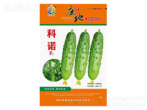 ���Z-�S�ϷN��-���ؿƼ�