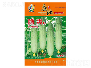 ��ˬ-�S�ϷN��-���ؿƼ�