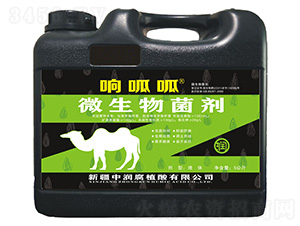 ΢�������-�����-�Н���ֲ��