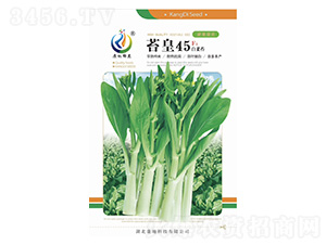 苔皇45-菜薹種子-康地科技