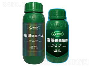 ���岡�����w-������