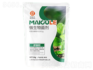 �G����΢�������-�~�Ș�