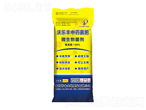 ΢�������-�֘��S��ˎ����-���طʘI