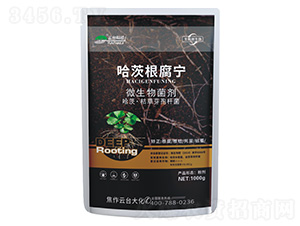 ���ĸ�����-΢�������-���_��